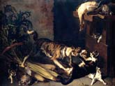 dog and a cat fighting in a kitchen interior
